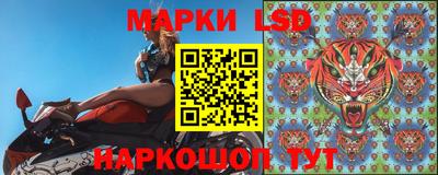 крисы Моздок