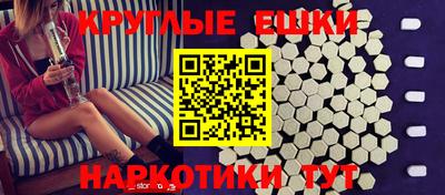 крисы Моздок