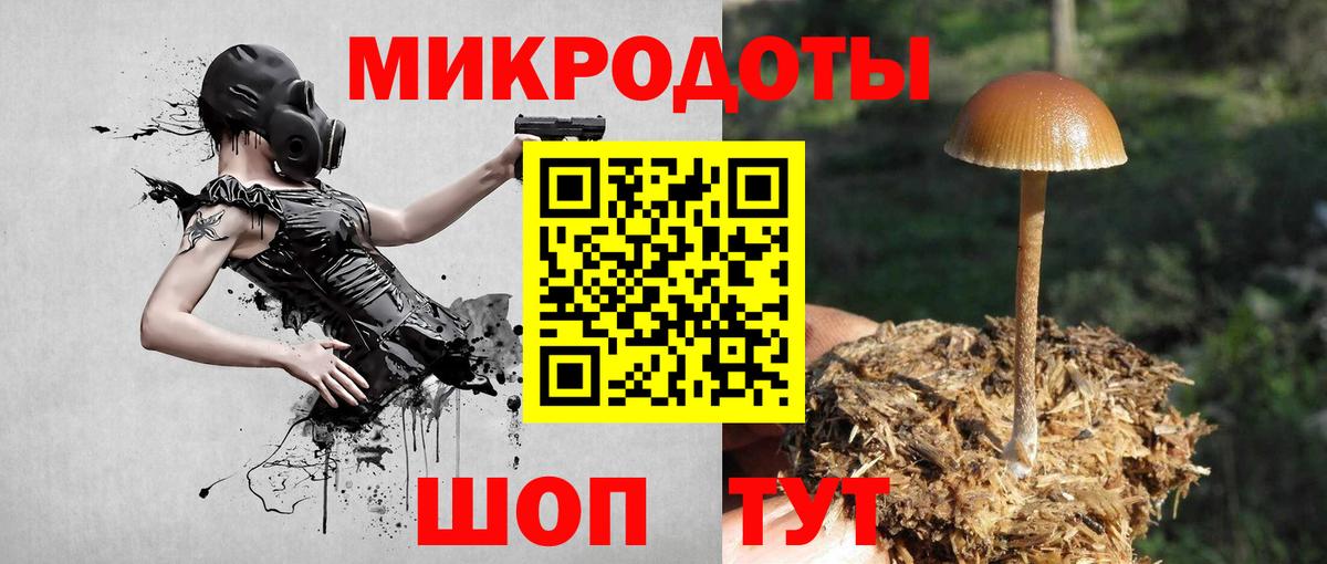 Псилоцибиновые грибы мицелий  цена   Севастополь  Вход с VPN  Псилоцибиновые грибы Cubensis 